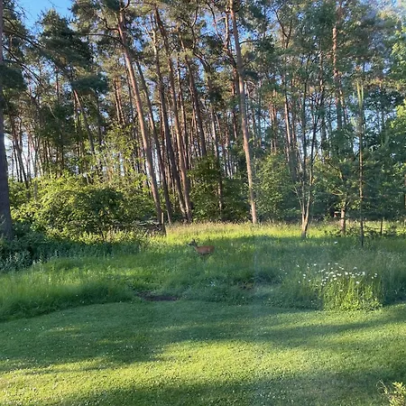 Little Paradise